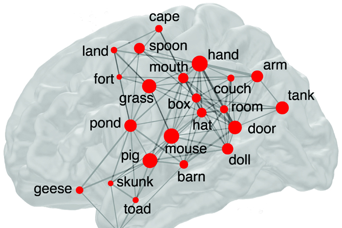 Мозг научили запоминать не только слова, но и жесты