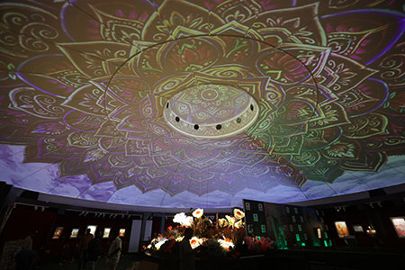 Никас Сафронов, индия, мумбаи, выставка, роснефть