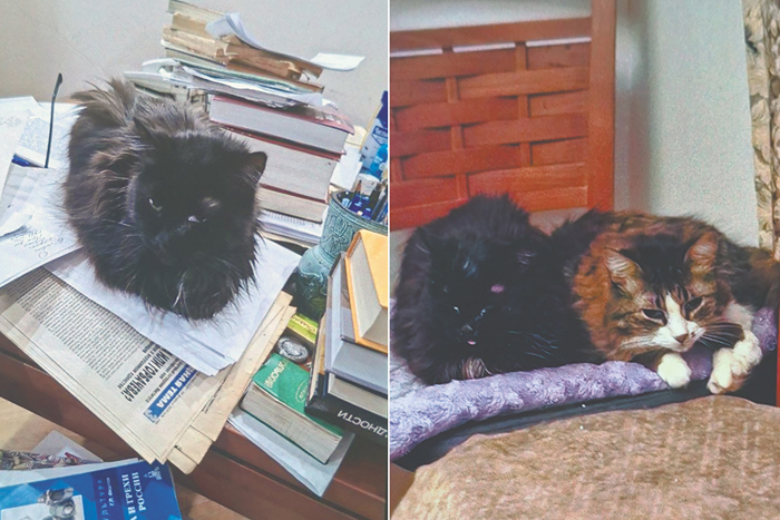 О роли кошек в жизни и творчестве философов 