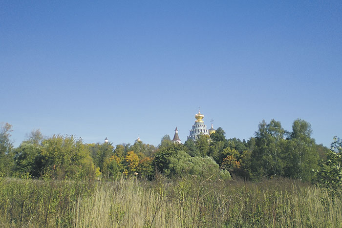 Жало жертвы и любви