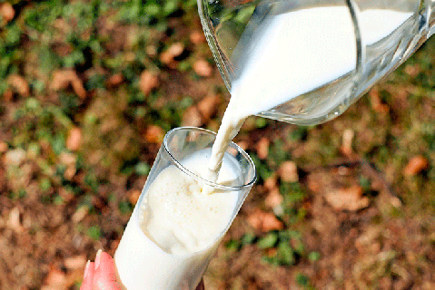 Молочная отрасль усваивает санкционный урок