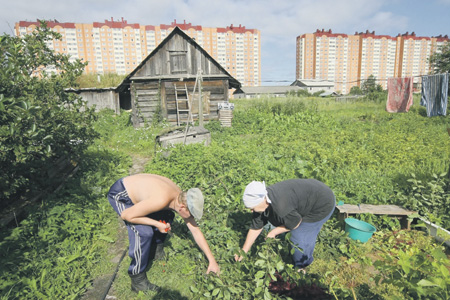 Травмоопасный дачный отдых