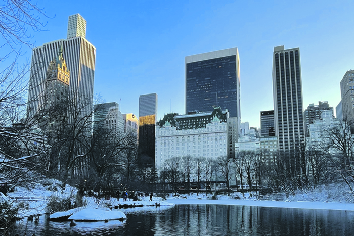Облегченный вариант зимы в Нью-Йорке 