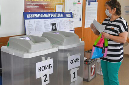 конституцияч, поправки, плебесцит, электронное голосование, явка