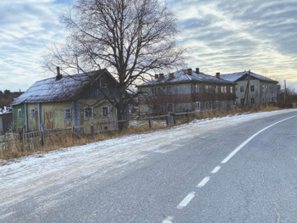 ящерицы, психология, валдай, глубинка
