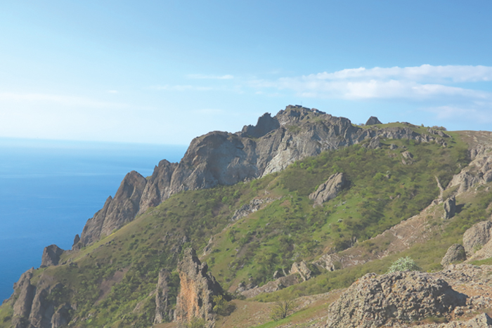 До щенячьей радости