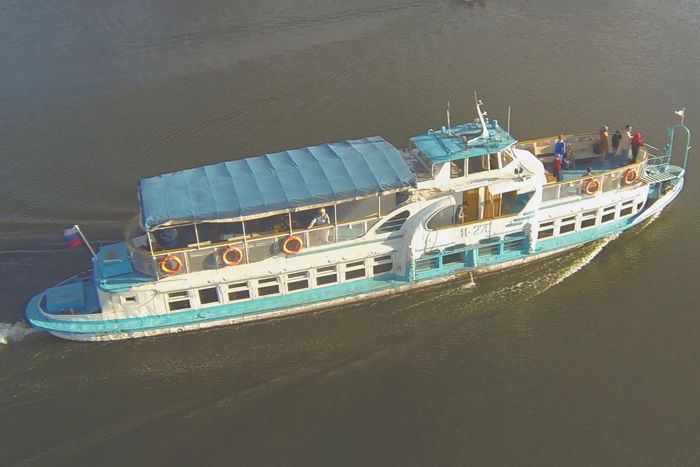 Только гривы, хвосты и уши