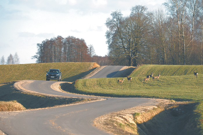 Литва планирует создать военный полигон на границе с Белоруссией