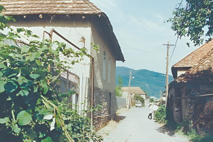 Не дать памяти исчезнуть…