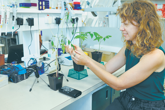 Научная политика «Нации стартапов»