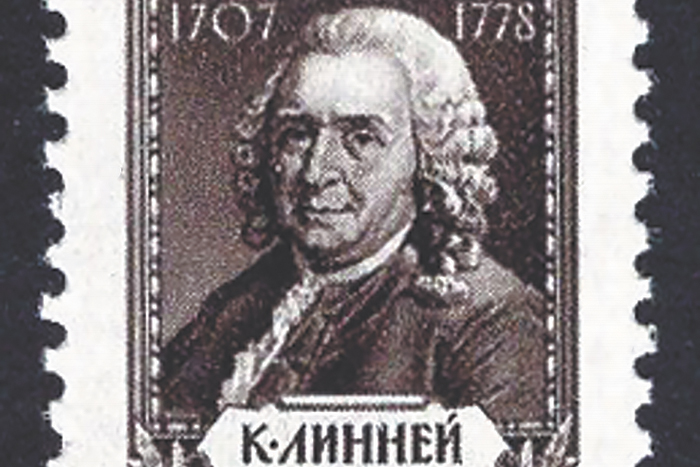 Стрела времени. Научный календарь, май-июнь 2026