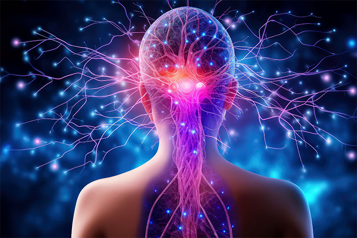 История погружения в мозг длиной в полтора века