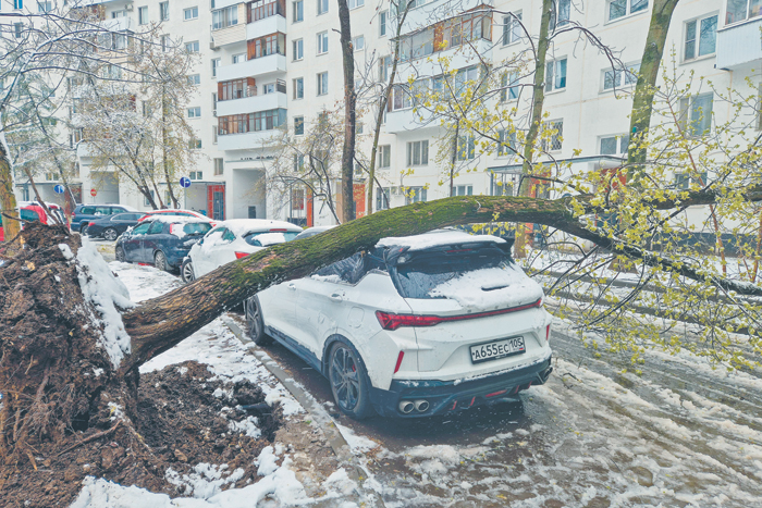 Фото недели. Рекордный апрельский снегопад в Москве