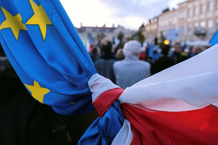 Поляков вызывают на ковер в Европарламент