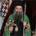 В Сербии избран новый патриарх