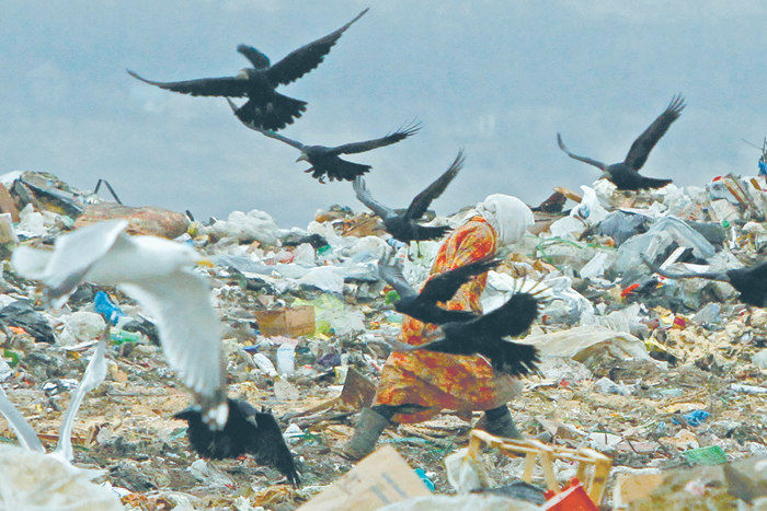 Как решить проблему мусорных полигонов и загрязнения воздуха