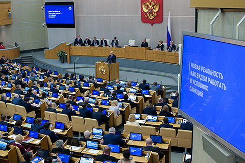 Правительство отвело стране полгода на адаптацию к санкциям