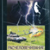 Печорин нового времени
