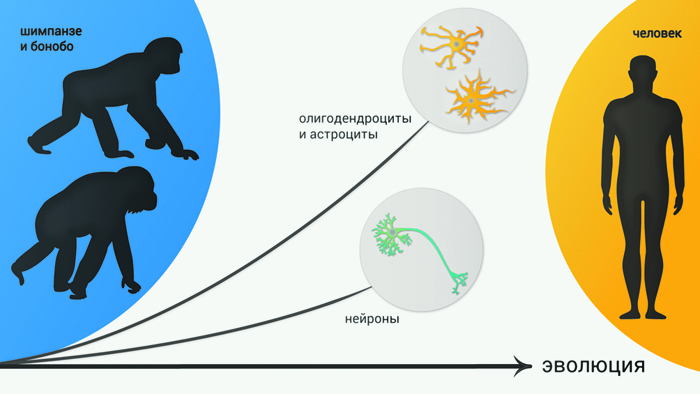 Новости науки