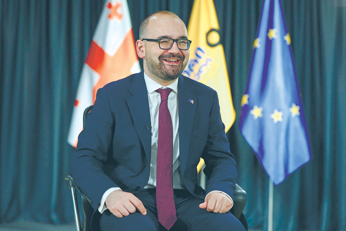 Грузия спокойно отреагировала на европейское "прощай"