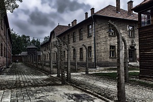 освенцим, юбилей, россия, танкаев