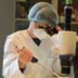 В НАТО занялись проблемой быстрой диагностики коронавируса
