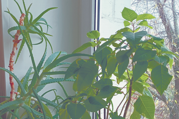 В хтоническом ужасе