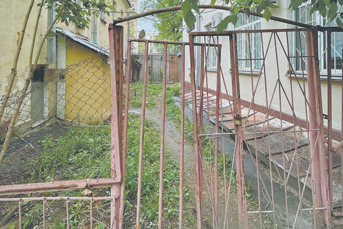 Котята с задворок дома Пушкина