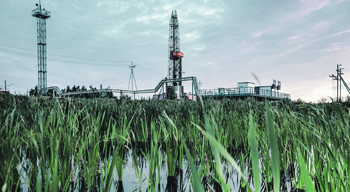 сша, нпз, импорт, российская нефть, цены