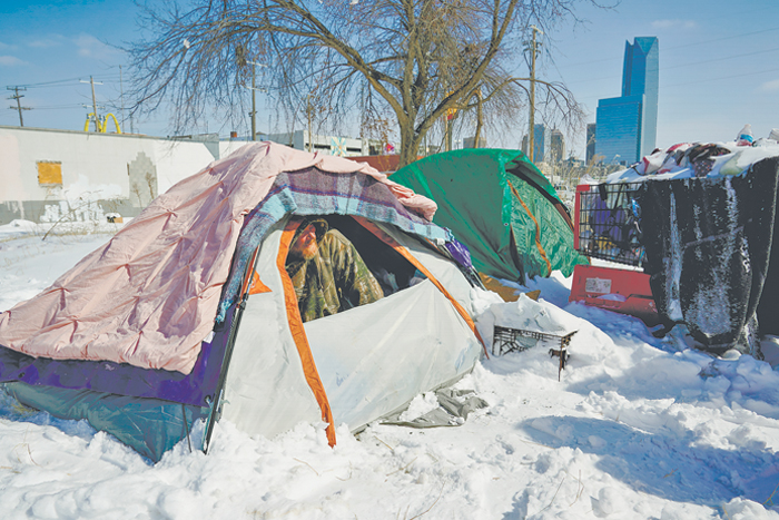 Учим волка быть вегетарианцем