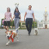 На ВДНХ будут рады хвостатым и усатым гостям