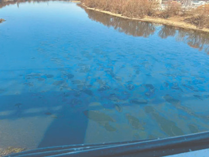 молдавия, экологическая тревога, питьевая вода, качество, нефтяные пятна, днестр, украина