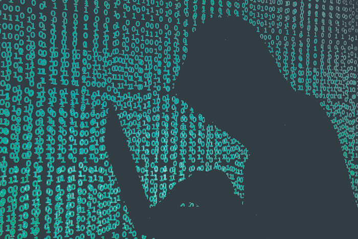 Европейские хакеры ищут цифровые лазейки в России