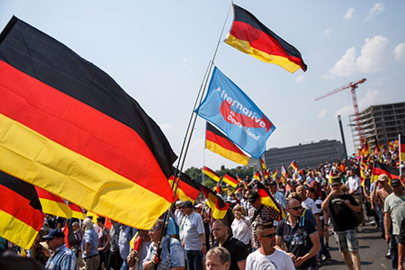 германия, бундестаг, адг, правый популизм, экстремизм