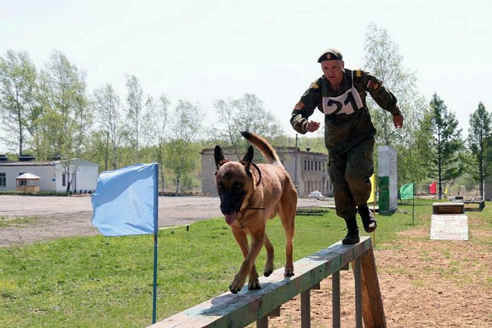 россия, армия, армейские игры