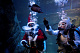 Санта-Клаус спустился в подводное царство