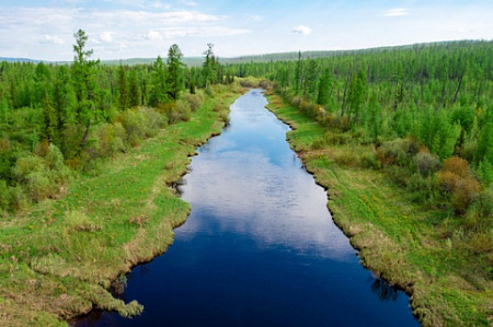 вода, потребление, экология, Роснефть, программы, ООН, устойчивое развитие