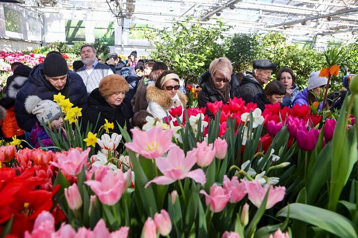 россия, москва, аптекарский огород, тюльпаны, выставка, репетиция весны
