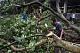 Тайфун Каммури атаковал Филиппины