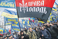Украинские <b>радикалы</b> действуют сообща