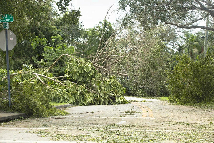ирма, флорида, катастрофа, последствия