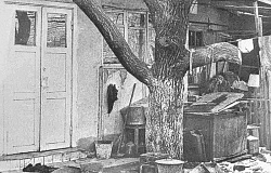 Создавать человека – увлекательно