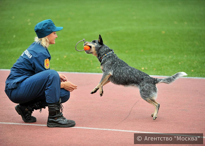 спасатели, праздник