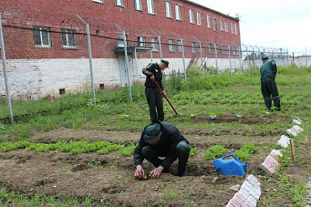 закон, заключенные, день, сизо, колония, правозащитники, фсин