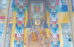 На крыльях прозрений