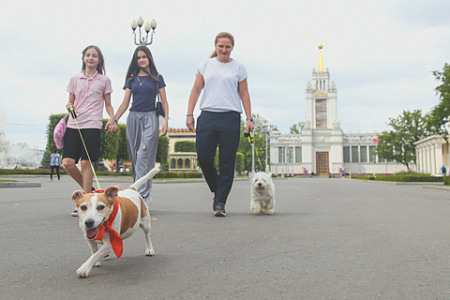 москва, вднх, стандарты гостеприимства, посещение с животными, гид по выставке и парку останкино