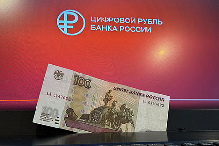 безналичные деньги, цифровой рубль, выдача зарплат, бюджетники