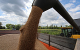 Киев призвал отменить запрет на ввоз украинского зерна в Евросоюз
