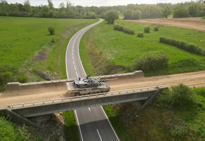 швейцария, леопарды