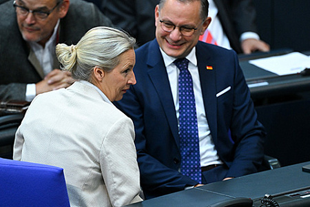 германия, партия адг, вайдель, хрупалла, внешняя политика, рф, украинский конфликт, переориентация на сша